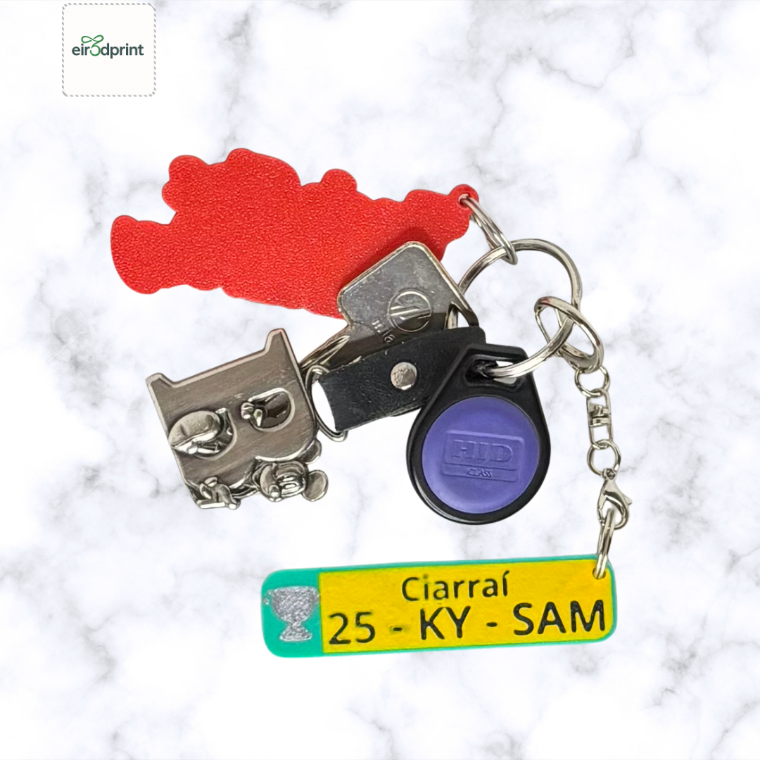 Kerry 2025 All-Ireland Football Champions Keychain – “25-KY-SAM” Number Plate Style Souvenir