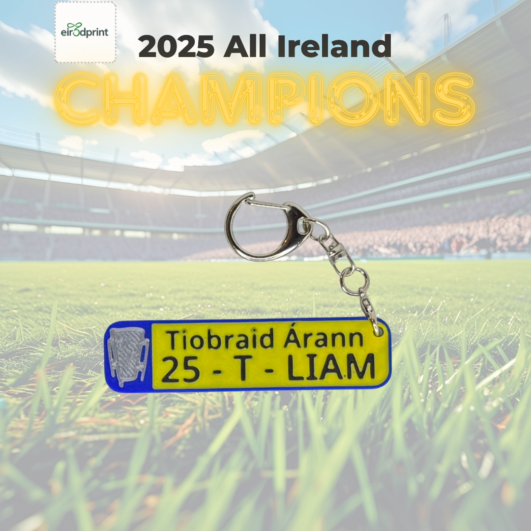 Tipperary 2025 All-Ireland Hurling Champions Keychain – Number Plate Style Souvenir