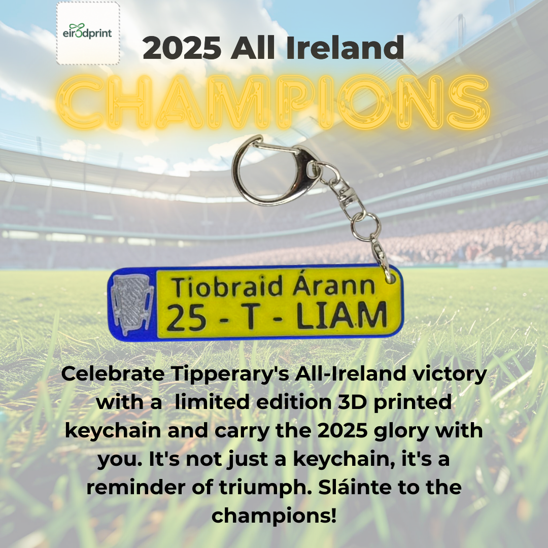 Tipperary 2025 All-Ireland Hurling Champions Keychain – Number Plate Style Souvenir