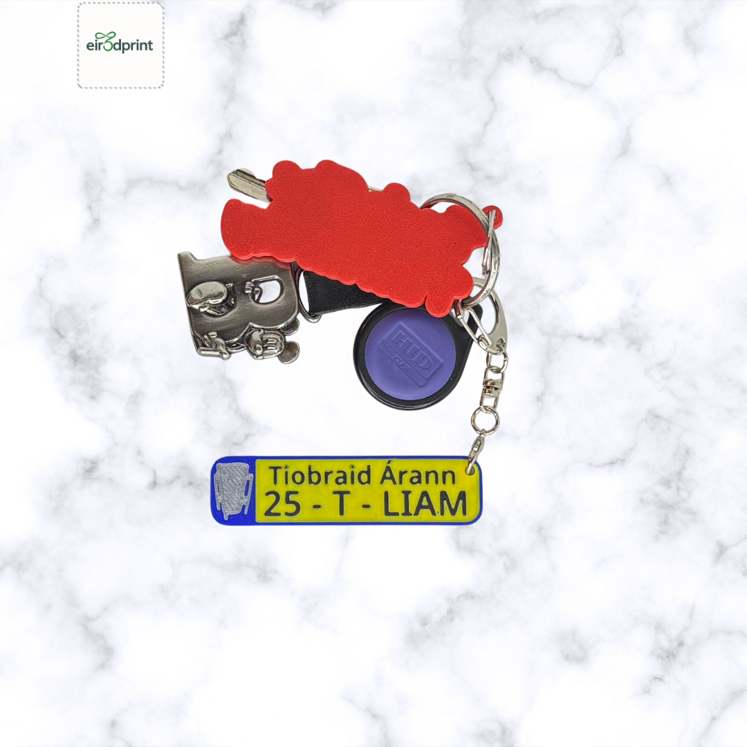 Tipperary 2025 All-Ireland Hurling Champions Keychain – Number Plate Style Souvenir